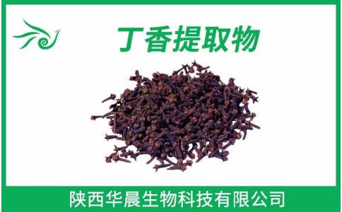 丁香提取物、母丁香提取物、公丁香提取物